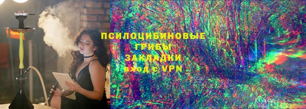 ГАЛЛЮЦИНОГЕННЫЕ ГРИБЫ Балахна