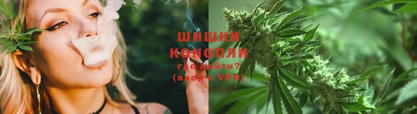 ГАЛЛЮЦИНОГЕННЫЕ ГРИБЫ Балахна