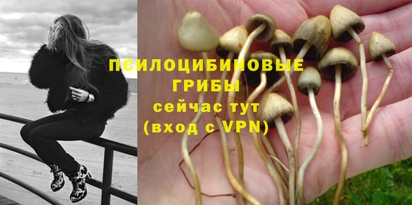 ECSTASY Баксан