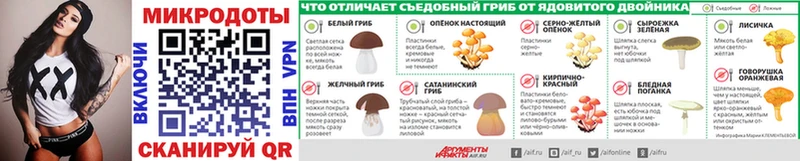 Купить где  Новосиль  Псилоцибиновые грибы Cubensis 