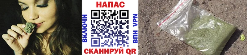 Купить где  Новосиль  МАРИХУАНА SATIVA & INDICA 